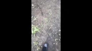 1018 public porn videos